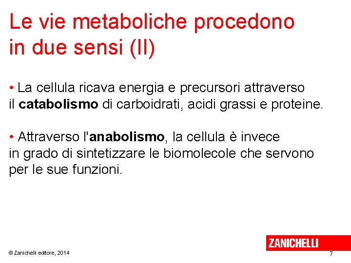 Le vie metaboliche procedono in due sensi (II) • La cellula ricava energia e