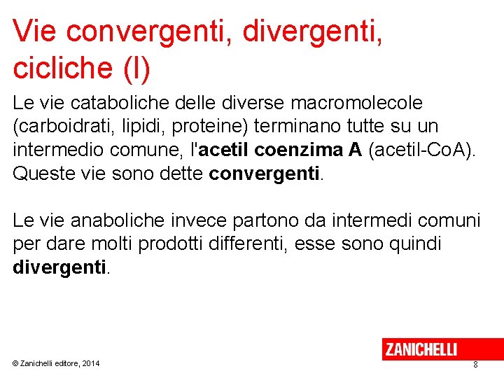 Vie convergenti, divergenti, cicliche (I) Le vie cataboliche delle diverse macromolecole (carboidrati, lipidi, proteine)