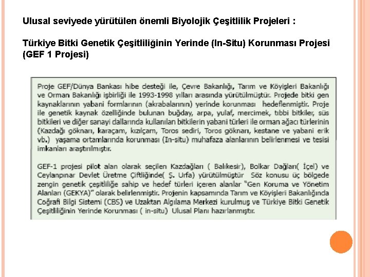 Ulusal seviyede yürütülen önemli Biyolojik Çeşitlilik Projeleri : Türkiye Bitki Genetik Çeşitliliğinin Yerinde (In-Situ)