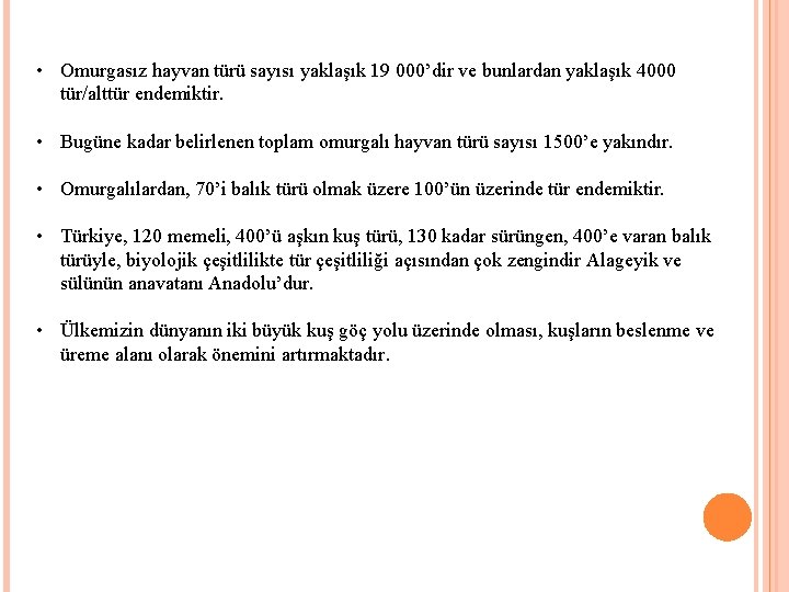  • Omurgasız hayvan türü sayısı yaklaşık 19 000’dir ve bunlardan yaklaşık 4000 tür/alttür