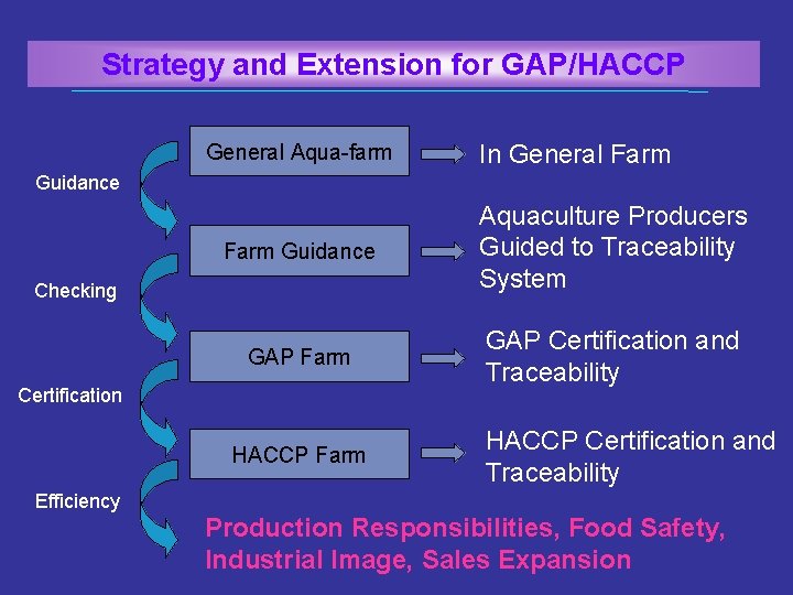 Strategy and Extension for GAP/HACCP General Aqua-farm In General Farm Guidance Aquaculture Producers Guided