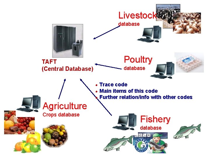 Livestock database Poultry TAFT (Central Database) database Trace code Main items of this code