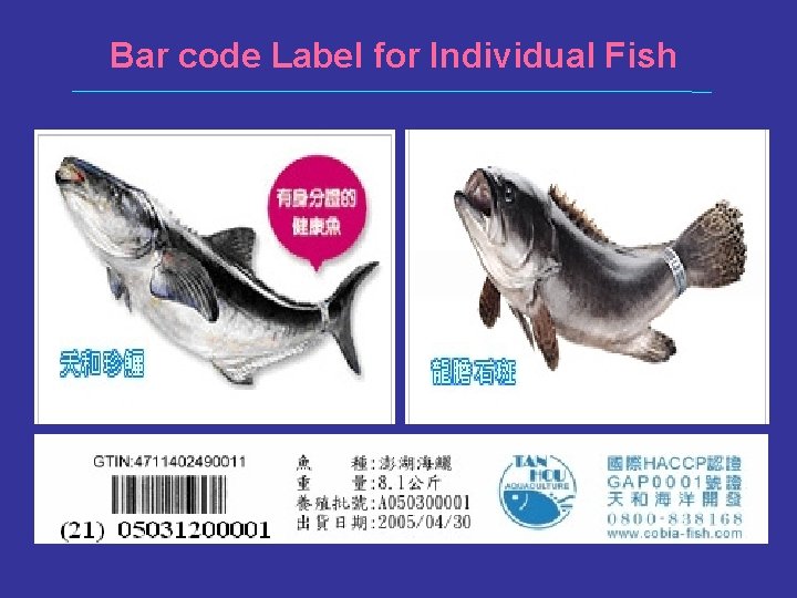 Bar code Label for Individual Fish 