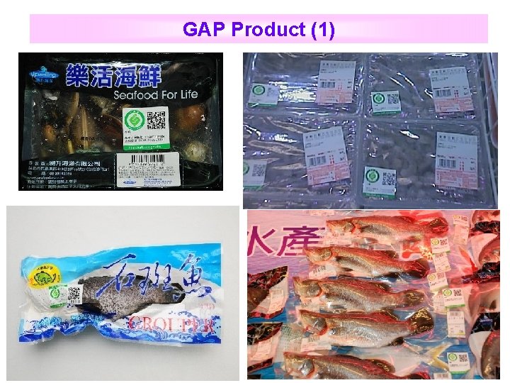GAP Product (1) 