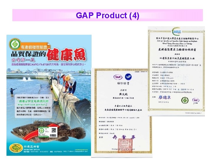 GAP Product (4) 