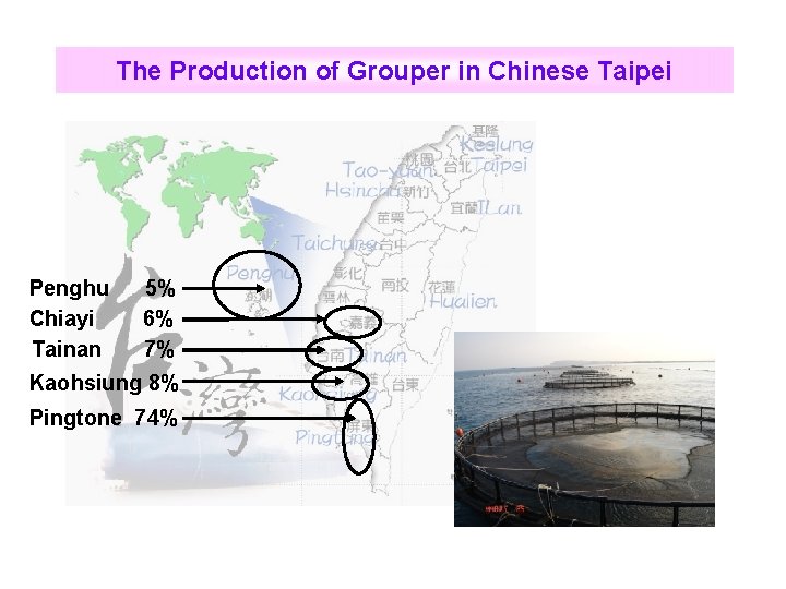 The Production of Grouper in Chinese Taipei Penghu Chiayi Tainan 5% 6% 7% Kaohsiung
