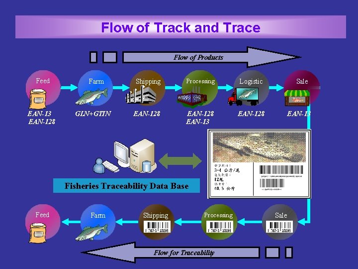 Flow of Track and Trace Flow of Products Feed EAN-13 EAN-128 Farm GLN+GTIN Shipping