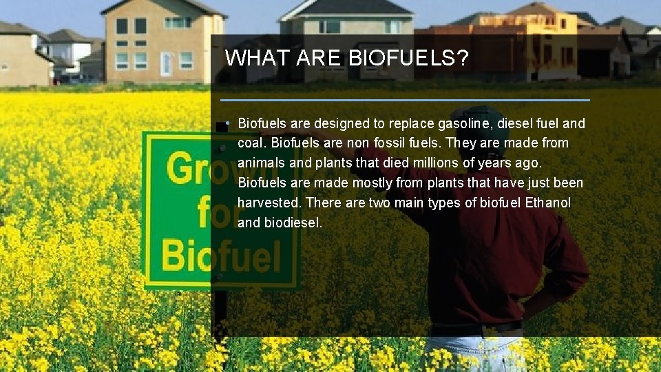 WHAT ARE BIOFUELS? • Biofuels are designed to replace gasoline, diesel fuel and coal.