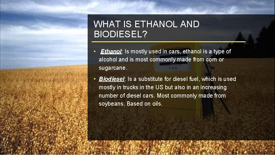 WHAT IS ETHANOL AND BIODIESEL? • Ethanol: Is mostly used in cars, ethanol is