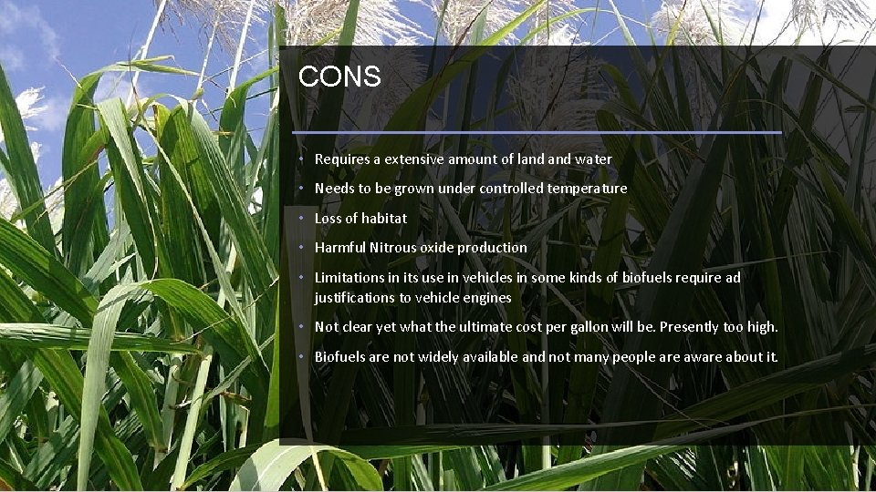 CONS • Requires a extensive amount of land water • Needs to be grown