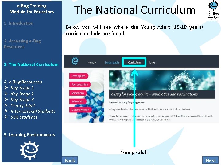 e-Bug Training Module for Educators 1. Introduction The National Curriculum Below you will see