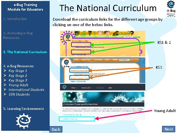 e-Bug Training Module for Educators 1. Introduction The National Curriculum Download the curriculum links