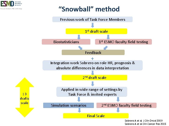 “Snowball” method Previous work of Task Force Members 1 st draft scale Biostatisticians 1