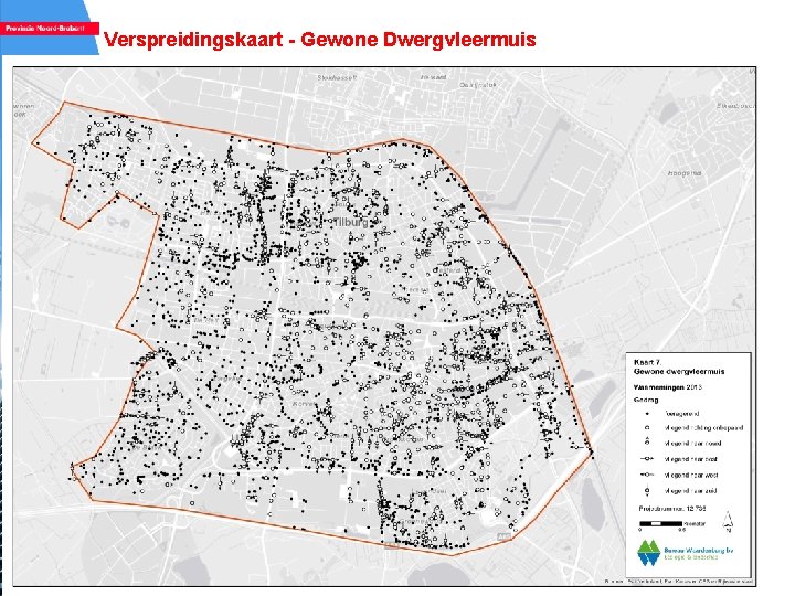 Verspreidingskaart - Gewone Dwergvleermuis 