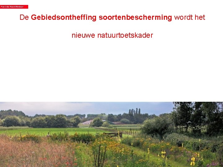 De Gebiedsontheffing soortenbescherming wordt het nieuwe natuurtoetskader 