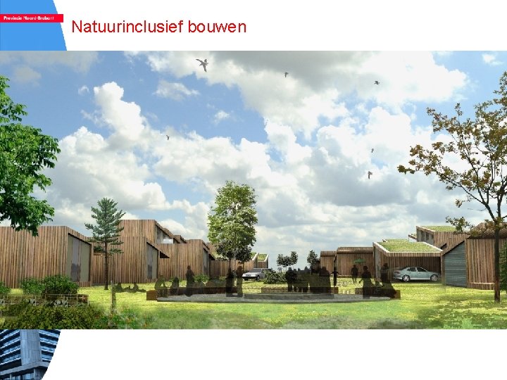 Natuurinclusief bouwen 