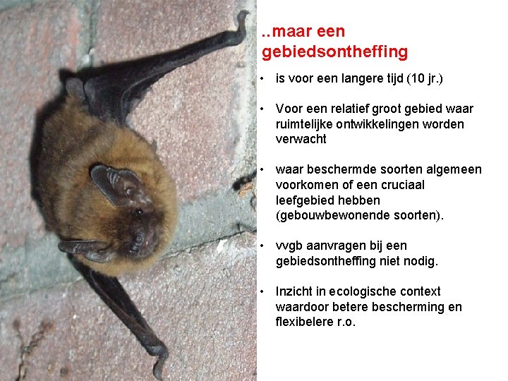 . . maar een gebiedsontheffing • is voor een langere tijd (10 jr. )