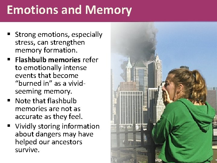 Emotions and Memory § Strong emotions, especially stress, can strengthen memory formation. § Flashbulb