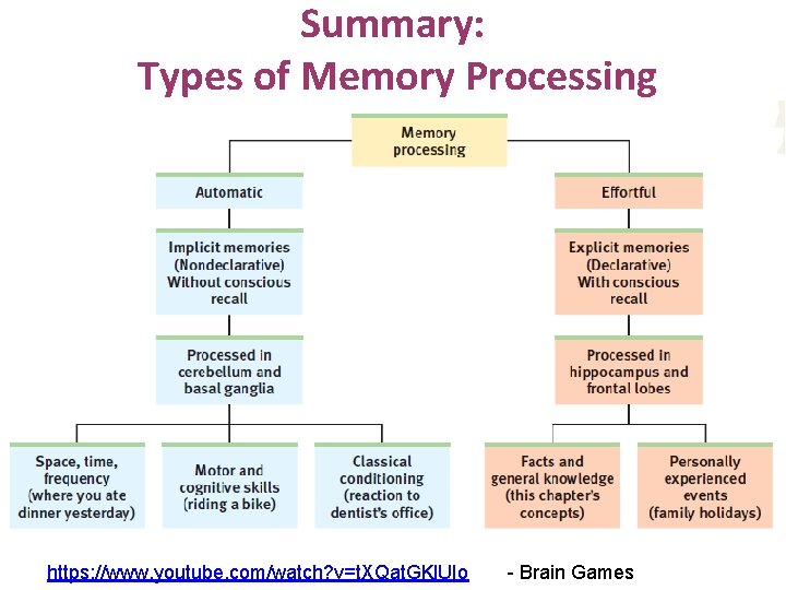 Summary: Types of Memory Processing https: //www. youtube. com/watch? v=t. XQat. GKl. UIo -