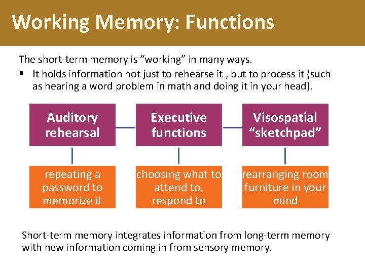 Working Memory: Functions The short-term memory is “working” in many ways. § It holds