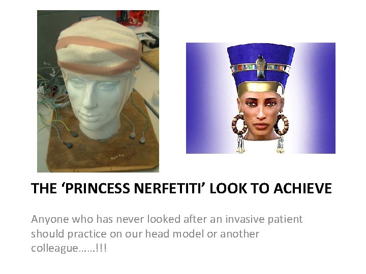 THE ‘PRINCESS NERFETITI’ LOOK TO ACHIEVE Anyone who has never looked after an invasive