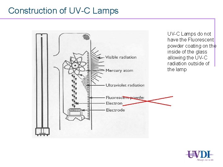 Construction of UV-C Lamps do not have the Fluorescent powder coating on the inside