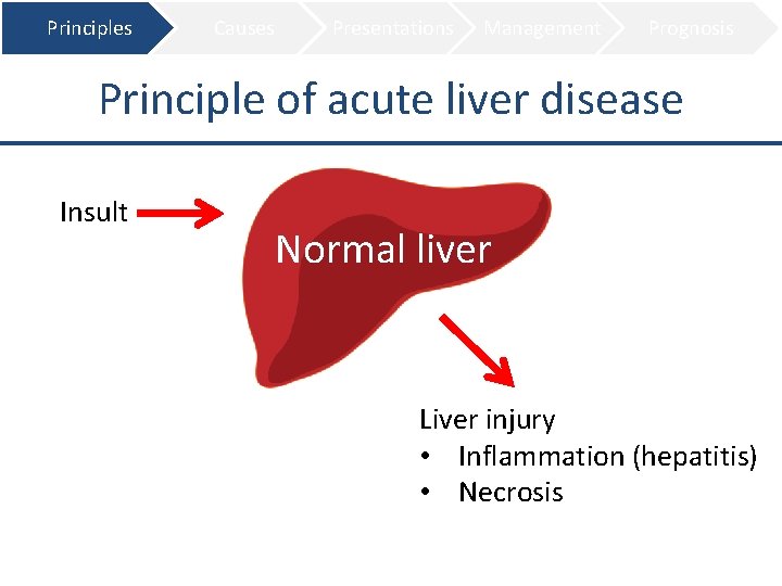 Principles Causes Presentations Management Prognosis Principle of acute liver disease Insult Normal liver Liver
