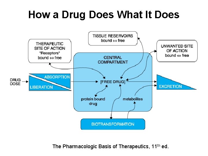 How a Drug Does What It Does The Pharmacologic Basis of Therapeutics, 11 th