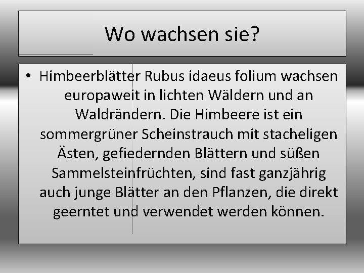 Wo wachsen sie? • Himbeerblätter Rubus idaeus folium wachsen europaweit in lichten Wäldern und