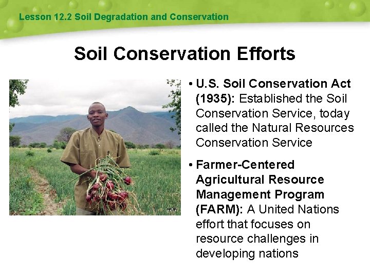 Lesson 12. 2 Soil Degradation and Conservation Soil Conservation Efforts • U. S. Soil