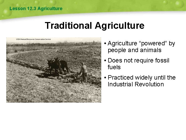 Lesson 12. 3 Agriculture Traditional Agriculture • Agriculture “powered” by people and animals •