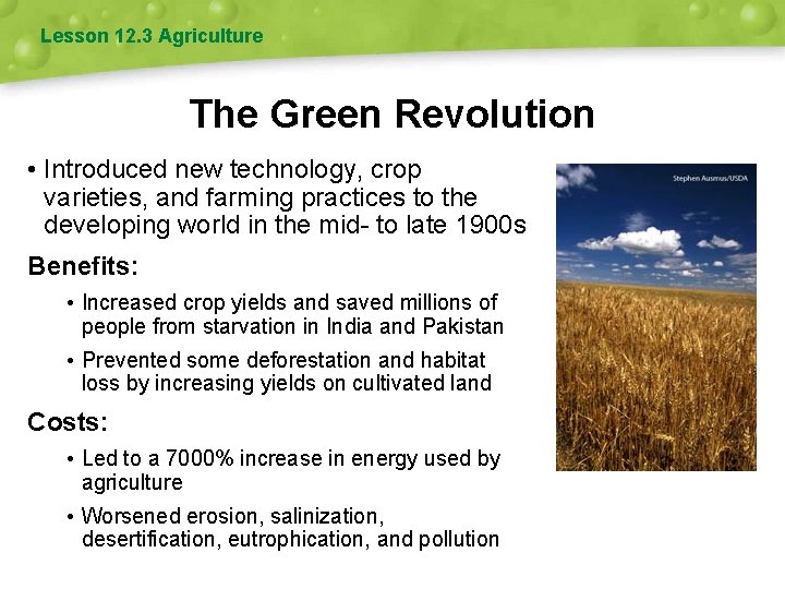 Lesson 12. 3 Agriculture The Green Revolution • Introduced new technology, crop varieties, and