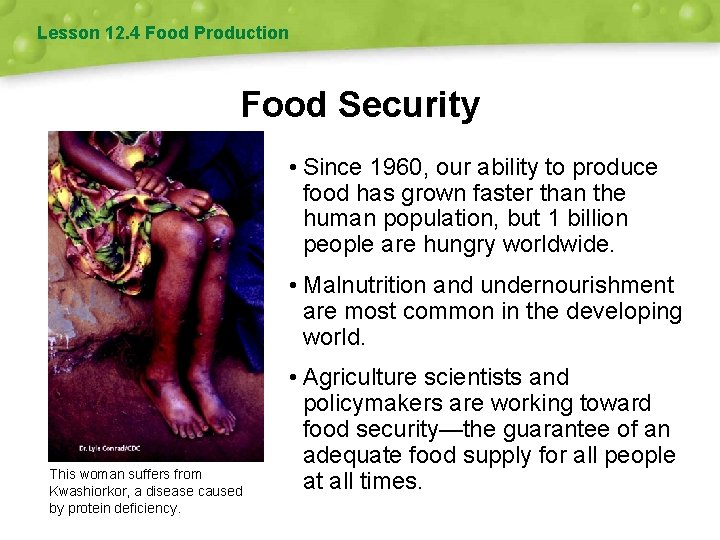 Lesson 12. 4 Food Production Food Security • Since 1960, our ability to produce