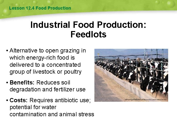 Lesson 12. 4 Food Production Industrial Food Production: Feedlots • Alternative to open grazing