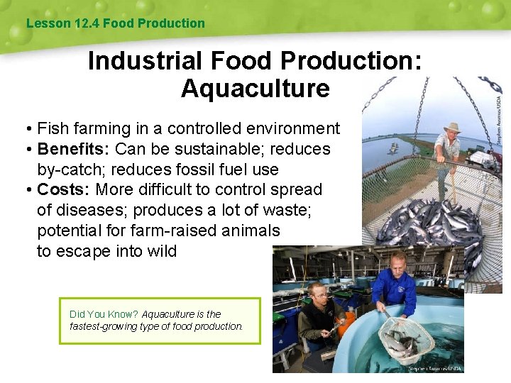 Lesson 12. 4 Food Production Industrial Food Production: Aquaculture • Fish farming in a