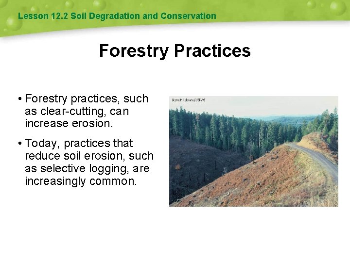 Lesson 12. 2 Soil Degradation and Conservation Forestry Practices • Forestry practices, such as