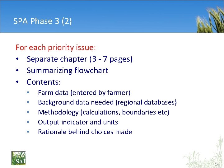 SPA Phase 3 (2) For each priority issue: • Separate chapter (3 - 7