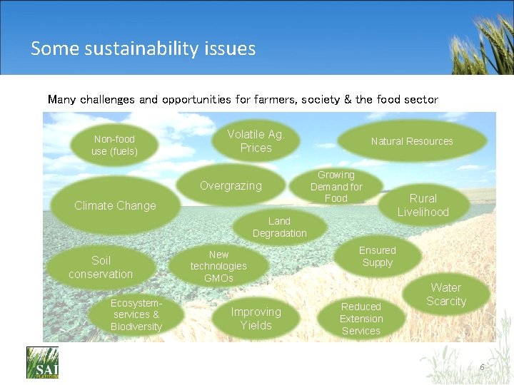 Some sustainability issues Many challenges and opportunities for farmers, society & the food sector