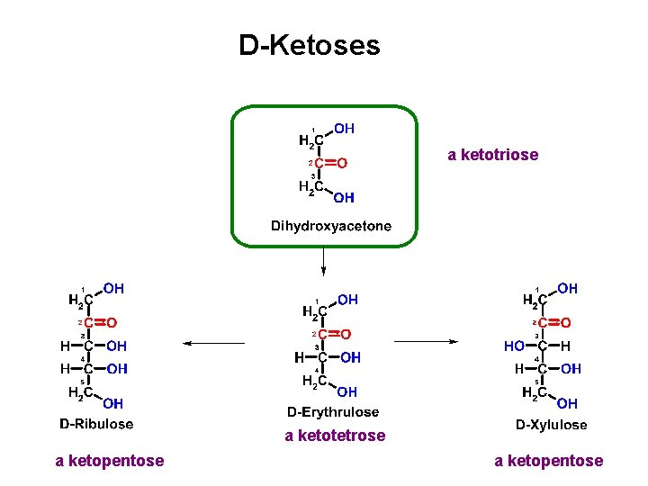 D-Ketoses a ketotriose a ketotetrose a ketopentose 