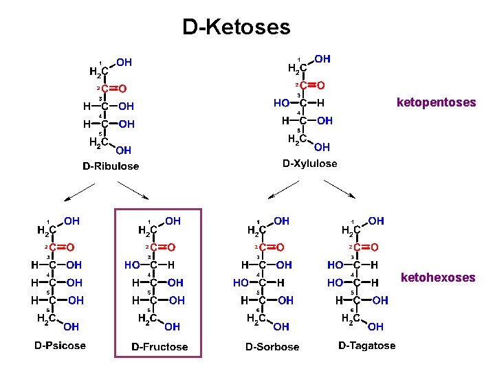 D-Ketoses ketopentoses ketohexoses 