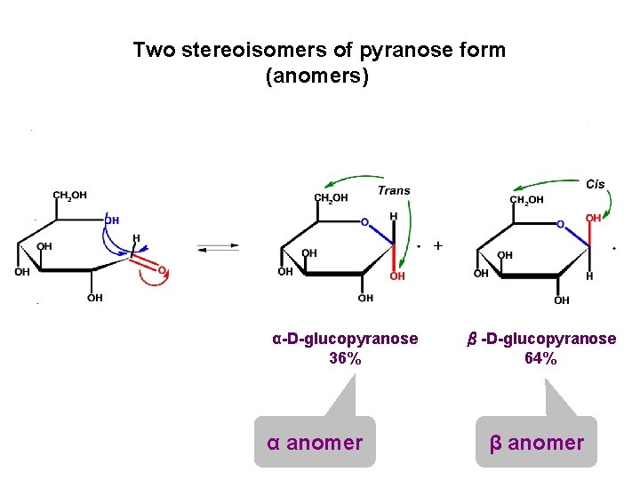 Two stereoisomers of pyranose form (anomers) α-D-glucopyranose 36% α anomer β-D-glucopyranose 64% β anomer Two stereoisomers of pyranose form (anomers) α-D-glucopyranose 36% α anomer β-D-glucopyranose 64% β anomer