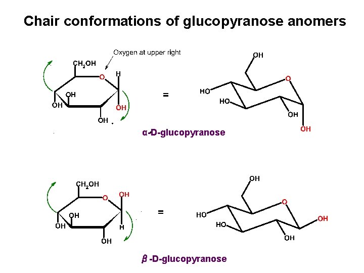 Chair conformations of glucopyranose anomers α-D-glucopyranose β-D-glucopyranose 