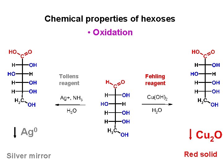 Chemical properties of hexoses • Oxidation Tollens reagent Fehling reagent Ag 0 Silver mirror