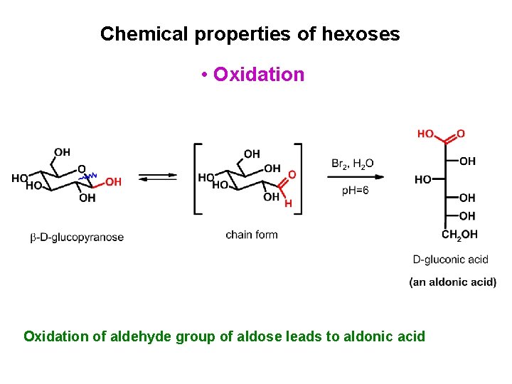 Chemical properties of hexoses • Oxidation of aldehyde group of aldose leads to aldonic