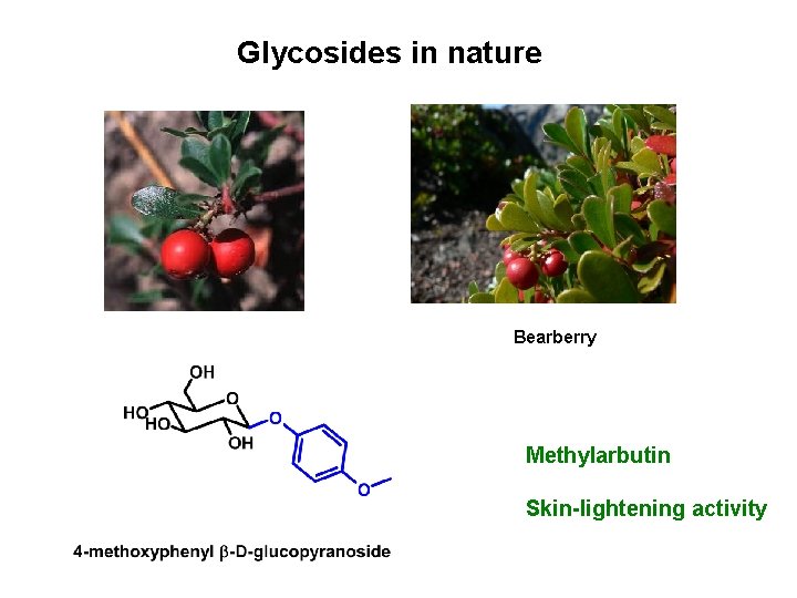 Glycosides in nature Bearberry Methylarbutin Skin-lightening activity Glycosides in nature Bearberry Methylarbutin Skin-lightening activity