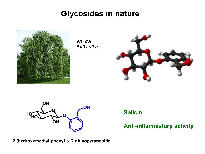 Glycosides in nature Willow Salix alba Salicin Anti-inflammatory activity Glycosides in nature Willow Salix alba Salicin Anti-inflammatory activity