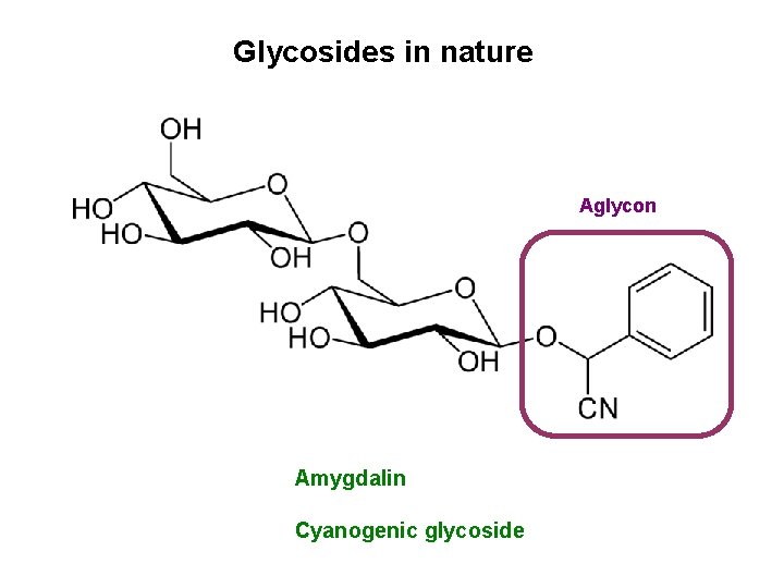 Glycosides in nature Aglycon Amygdalin Cyanogenic glycoside 
