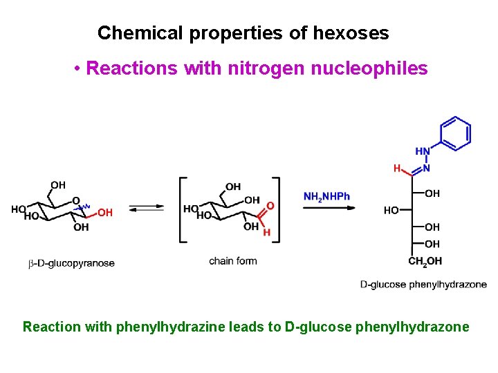 Chemical properties of hexoses • Reactions with nitrogen nucleophiles Reaction with phenylhydrazine leads to