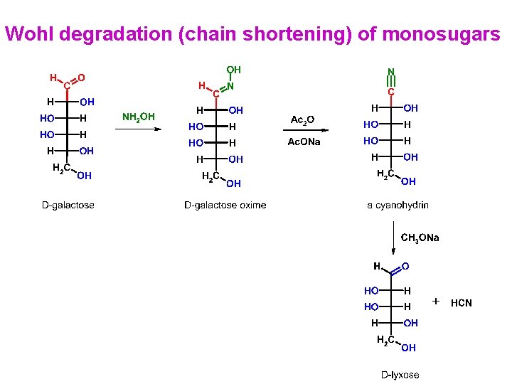 Wohl degradation (chain shortening) of monosugars 