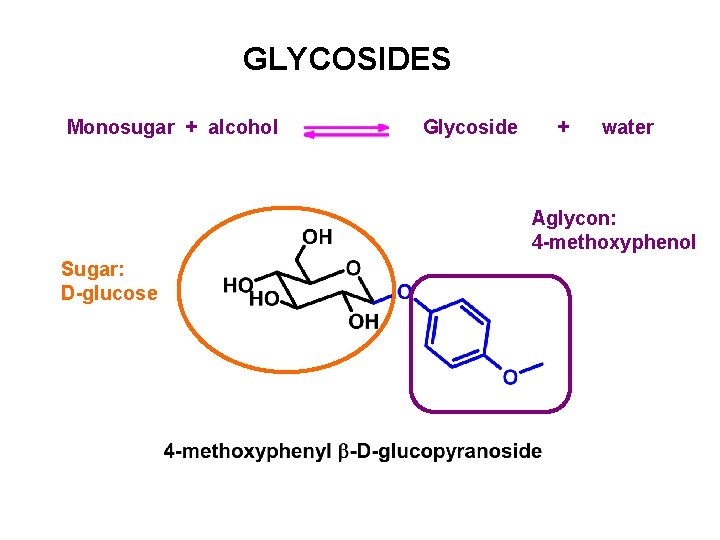 GLYCOSIDES Monosugar + alcohol Glycoside + water Aglycon: 4 -methoxyphenol Sugar: D-glucose GLYCOSIDES Monosugar + alcohol Glycoside + water Aglycon: 4 -methoxyphenol Sugar: D-glucose
